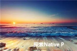 探索Native Plugins：开启大模型的技能之门 