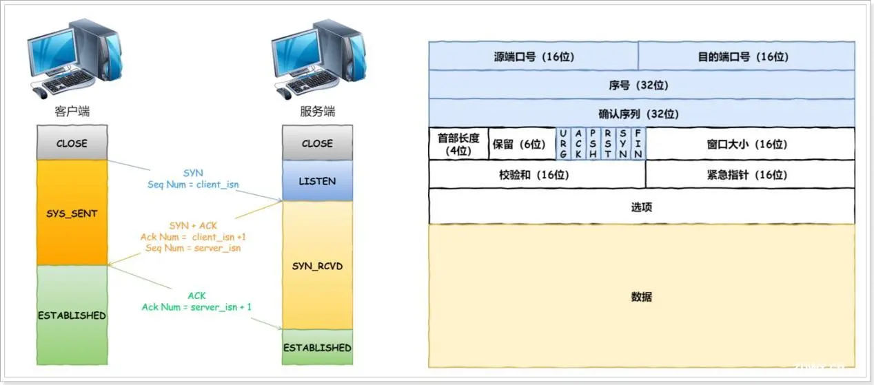 TCP协议 