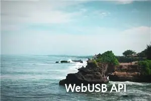 WebUSB API 是一个用于在Web应用程序中访问USB设备的API