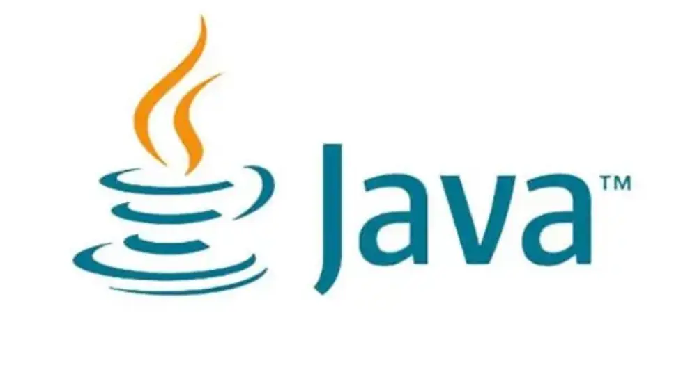 Java 变量类型