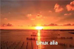 Linux alias命令教程：如何创建和使用命令别名或快捷方式(附实例详解和注意事项)