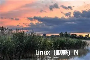 Linux（麒麟）Navicat安装配置及Mysql设置远程登录（转载）