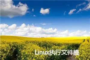 Linux执行文件提示No such file or directory如何解决?