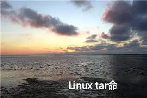 Linux tar命令教程：文件打包和压缩的神器(附案例详解和注意事项)