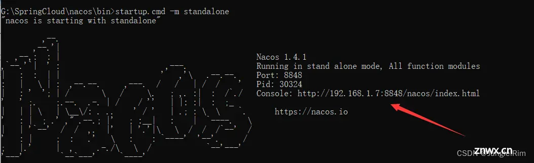 微服务入门篇：Nacos注册中心（Nacos安装，快速入门，多级存储，负载均衡，环境隔离，配置管理，热更新，集群搭建，nginx反向代理）