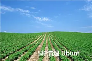 5种清理 Ubuntu 系统的方法