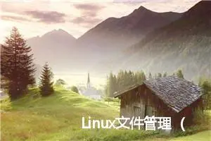 Linux文件管理（超详细讲解）