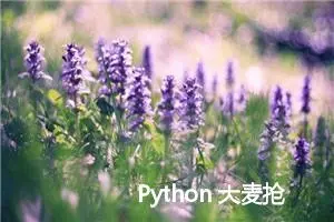 Python 大麦抢票脚本