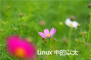 Linux 中的以太网管理，以及udhcpc介绍和使用步骤