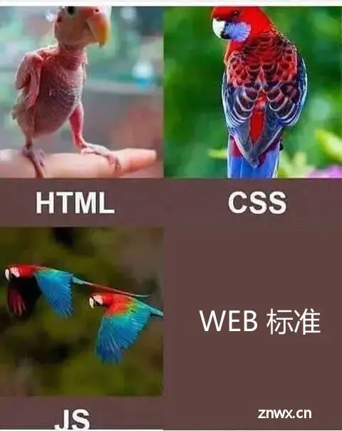 【Web世界探险家】打开Web世界的大门