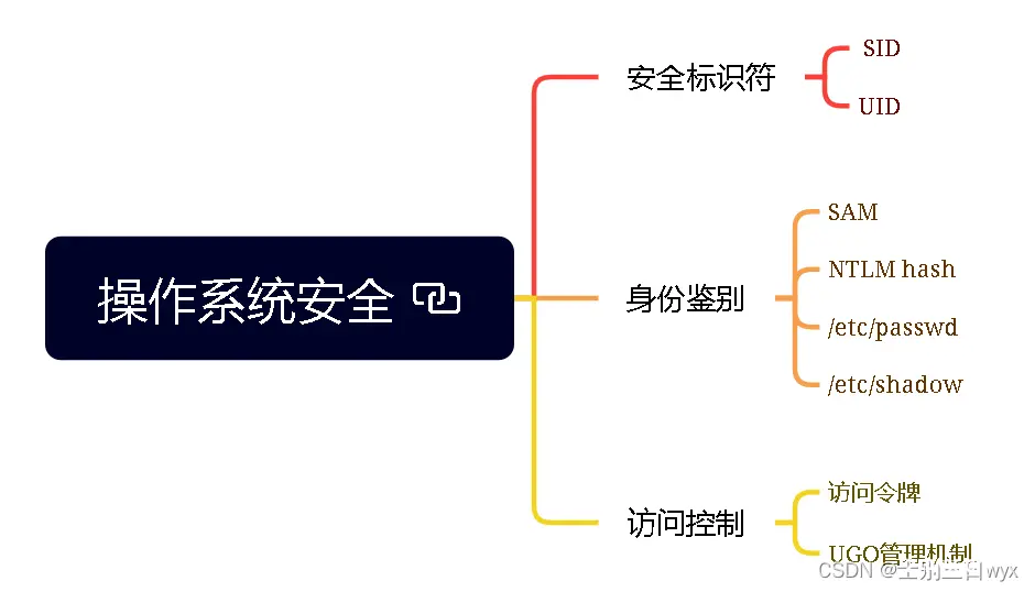 操作系统安全：Windows与Linux的安全标识符，身份鉴别和访问控制