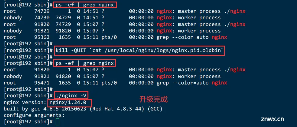 【Linux & Nginx】Linux下安装Nginx与版本升级（nginx-1.24.0）