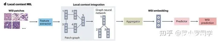 【Nature Reviews】AI在医疗领域的下一步：计算病理学如何赢得临床医生的信任和采用？