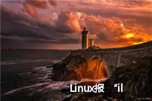 Linux报 “illegal instruction” 异常的原因以及解决办法