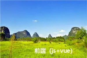 前端（js+vue）选择题+判断题+问答题