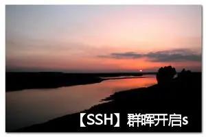 【SSH】群晖开启ssh访问