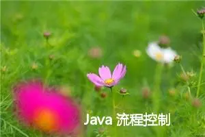 Java 流程控制 -- Java 语言的代码块、作用域、循环与依赖
