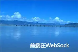 前端在WebSocket中加入Token