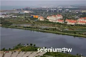 selenium中webdriver常用的ChromeOptions参数