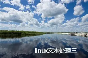 linux文本处理三剑客之sed