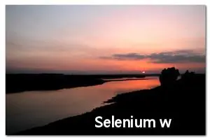 Selenium webdriver_manager根据浏览器版本自动下载对应驱动程序