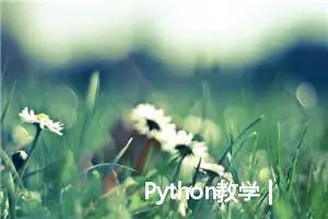 Python教学 | 有备无患！详解 Python 异常处理（try-except）