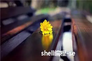 shell编程-sed命令详解（超详细） 