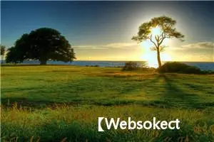 【Websokect】服务器https协议下ws连接失败问题及解决办法