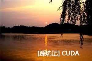 [踩坑记] CUDA环境下bitsandbytes安装报错/异常解决