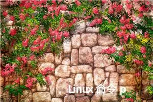 Linux 命令 ps aux 命令解析