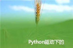 Python驱动下的AI革命：技术赋能与案例解析