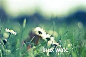 linux watch命令（定期执行命令，实时显示输出结果）