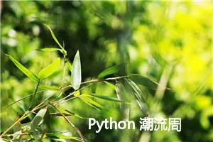 Python 潮流周刊#56：NumPy 2.0 里更快速的字符串函数（摘要） 