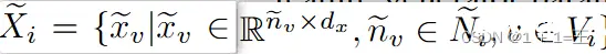 Xi = { xv | xvR nv × dx，nvNi，vVi }