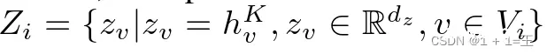 Zi = { zv | zv = hKv，zvRdz，vVi }。