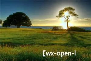 【wx-open-launch-app】微信内置浏览器网页唤起app操作和一些坑，偏前端使用开放标签方面