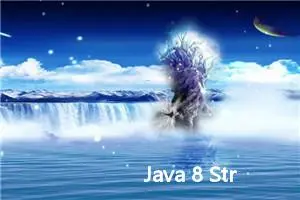 Java 8 Stream API 中的 peek() 方法详解，以及需要注意的坑。