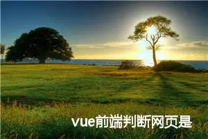 vue前端判断网页是PC端还是移动端，判断移动端类型