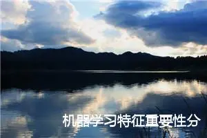 机器学习特征重要性分析