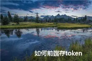 如何前端存token，后端获取token