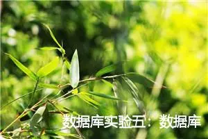 数据库实验五：数据库编程 