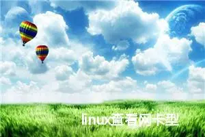 linux查看网卡型号和驱动信息