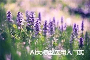 AI大模型应用入门实战与进阶：图像识别与大模型：ViT解析