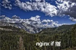 nginx if 指令