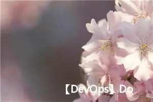 【DevOps】Dockerfile详解，做自己的docker镜像