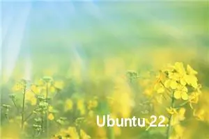 Ubuntu 22.04上重启网络