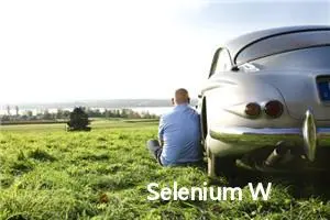 Selenium WebDriver 中用于查找网页元素的两个方法