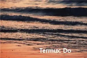 Termux: Docker on Android - 移动设备上的容器化技术新纪元