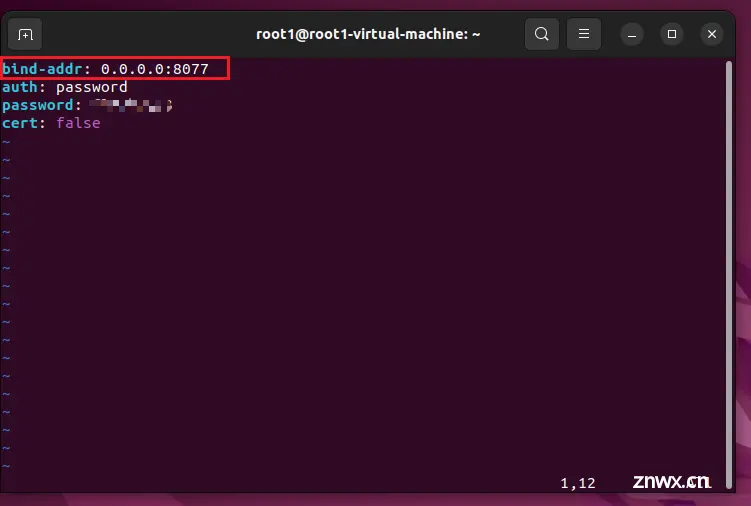 Android平板浏览器远程Ubuntu服务器使用code-server编程写代码