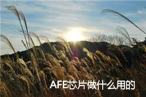 AFE芯片做什么用的？AFE（Analog Front End） 模拟前端